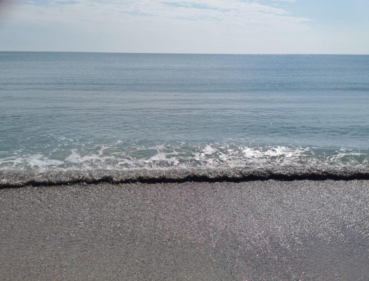 Summerland Apartment M&A Mamaia Eksteriør billede